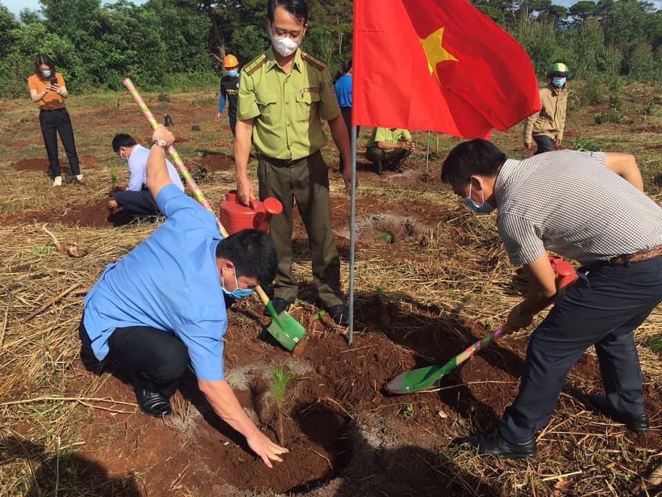 Tổ chức Lễ phát động trồng rừng hưởng ứng Chương trình trồng 1 tỷ cây xanh của Thủ tướng Chính phủ tại huyện Ea H’Leo.